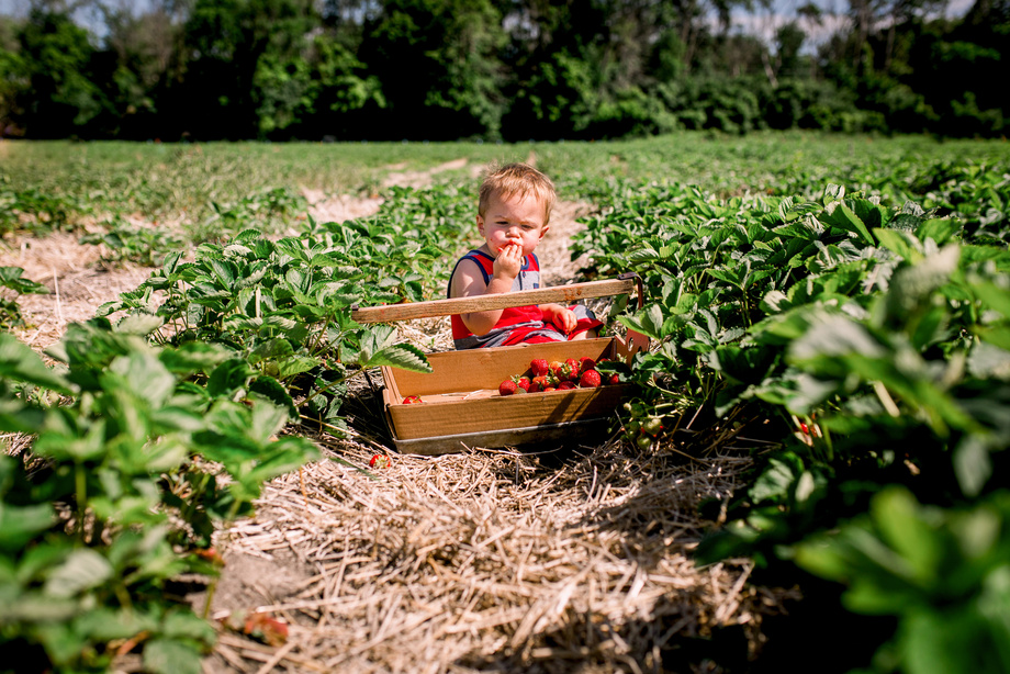 Niño disfrutando del sol en mitad del campo - Humana Baby