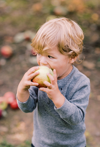 manzana para bebés fruta